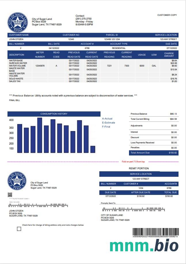 USA Texas City Of Sugar Land rachunek za media szablon w formacie Word i PDF